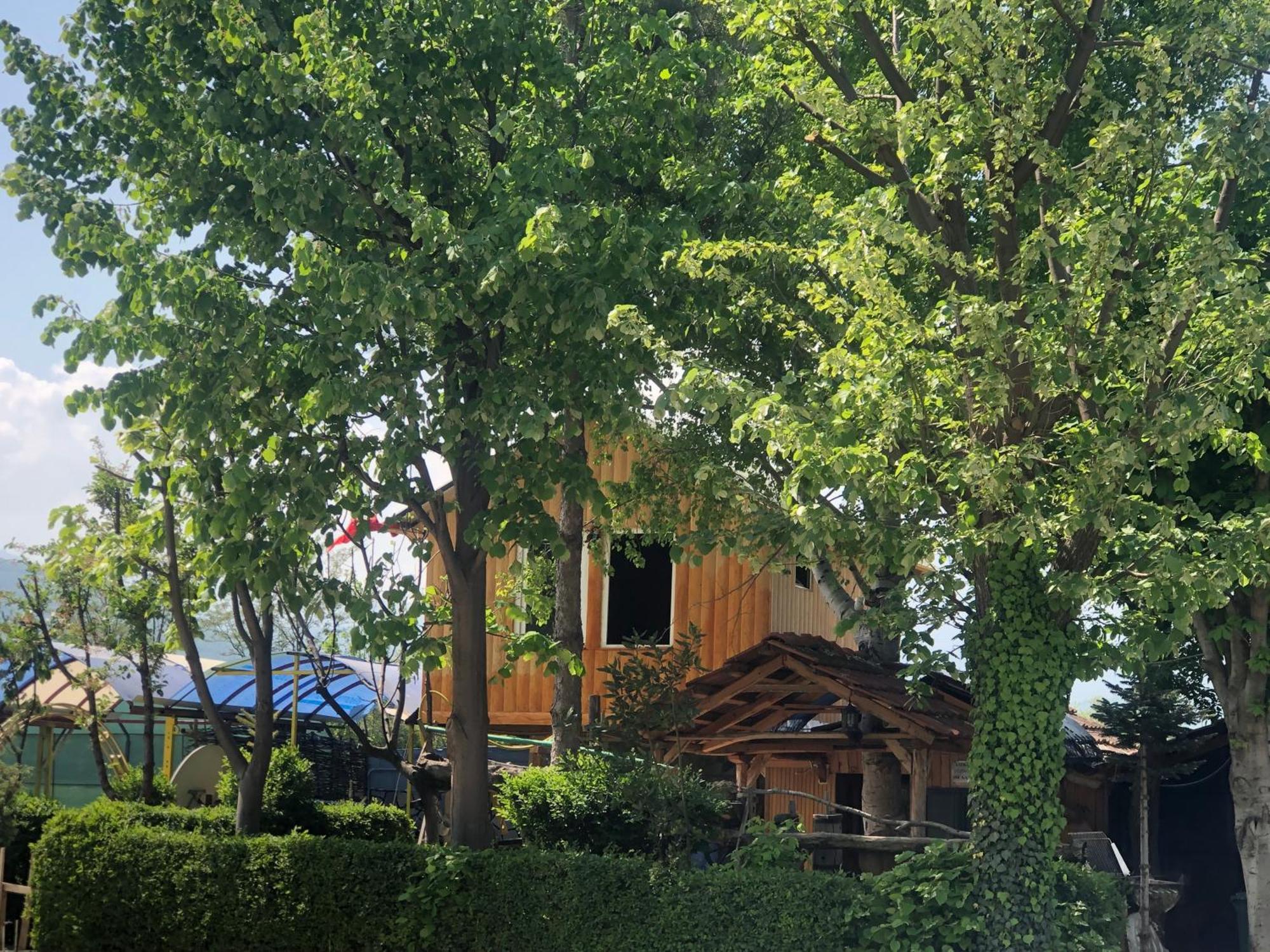Bujtina Gashi Guest House Kukes 外观 照片