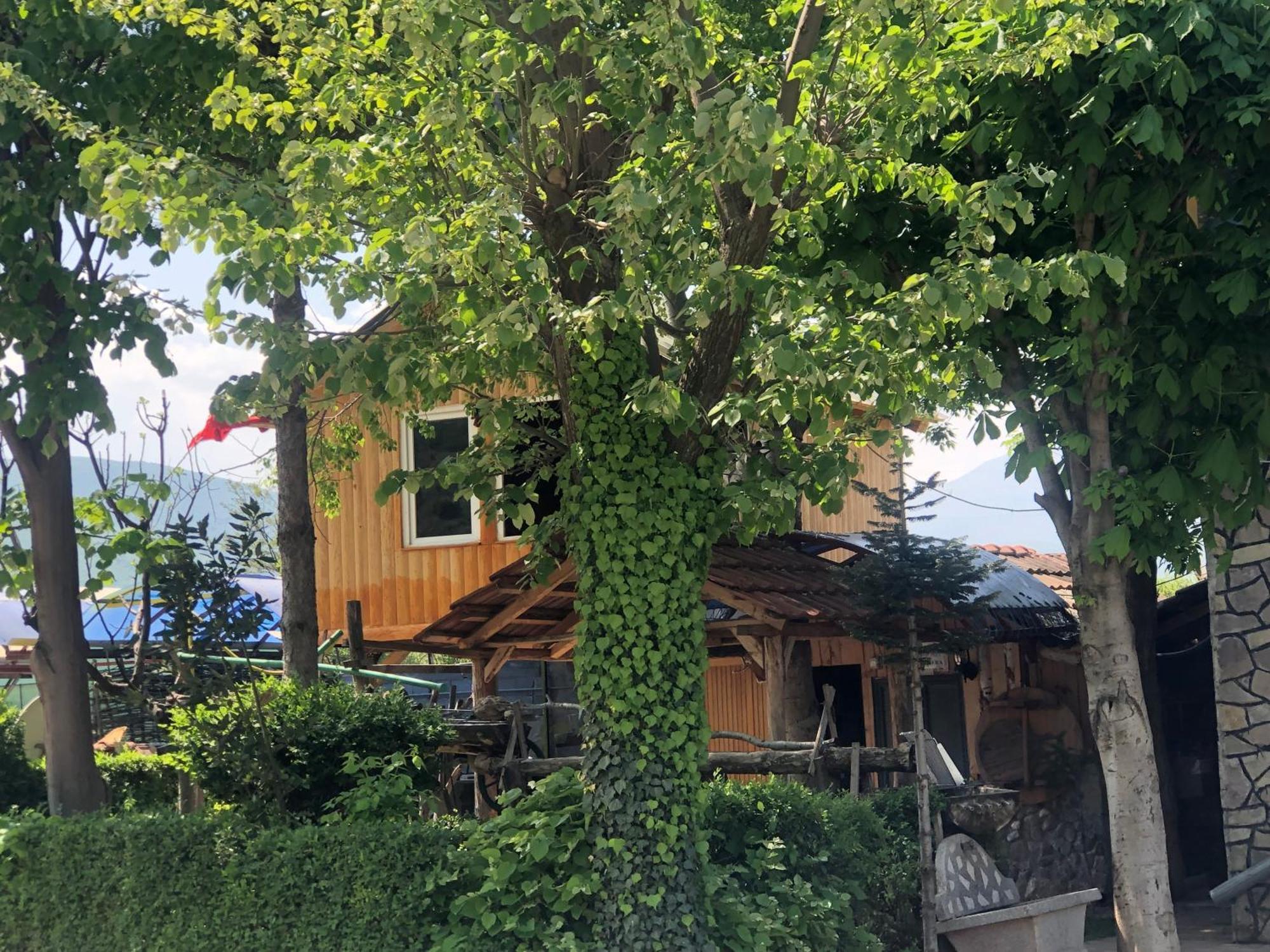 Bujtina Gashi Guest House Kukes 外观 照片