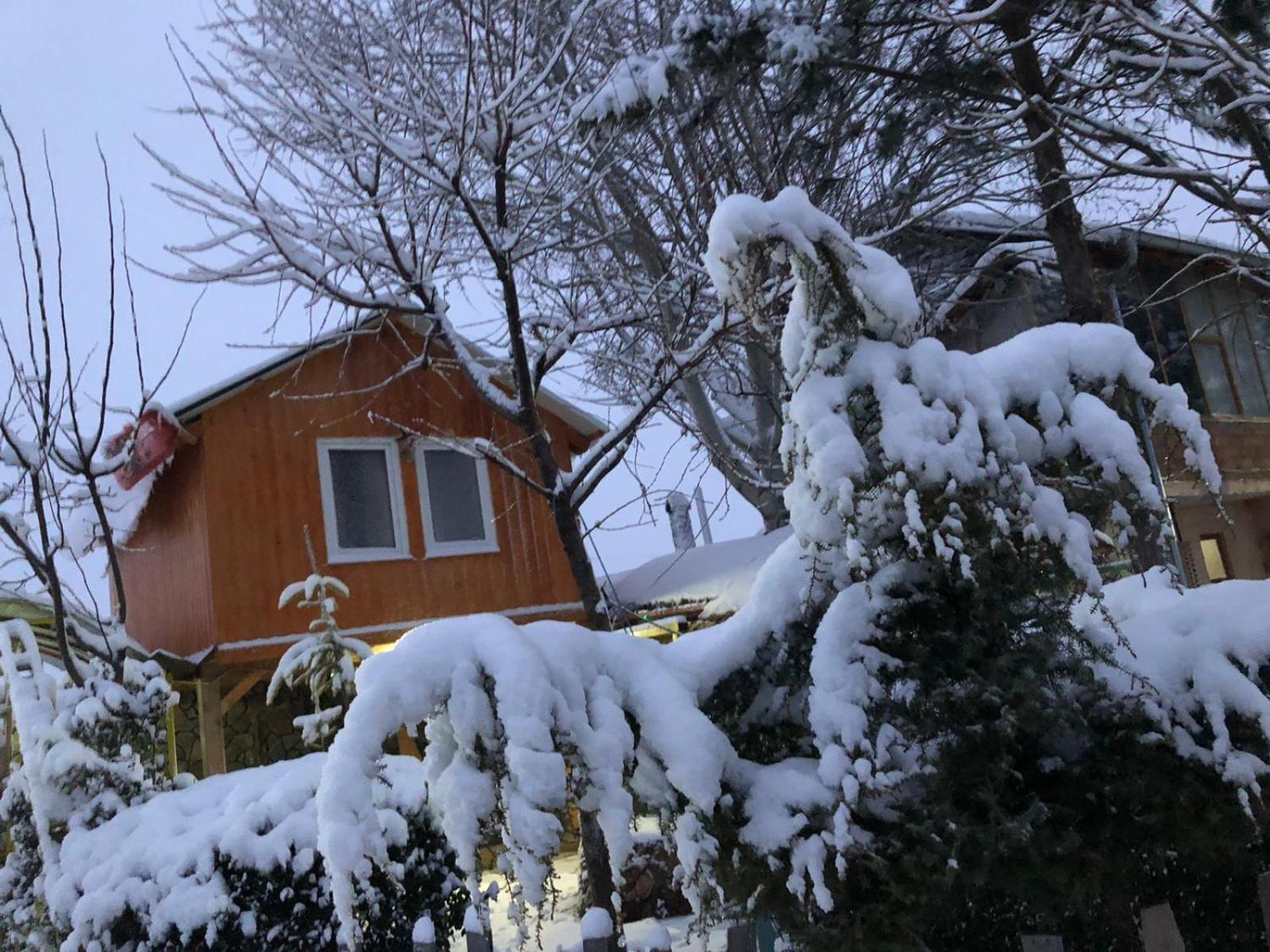 Bujtina Gashi Guest House Kukes 外观 照片